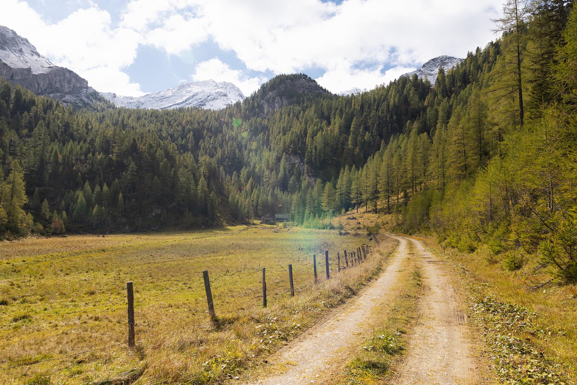 Forstweg durch den Wald in Flachauwinkl