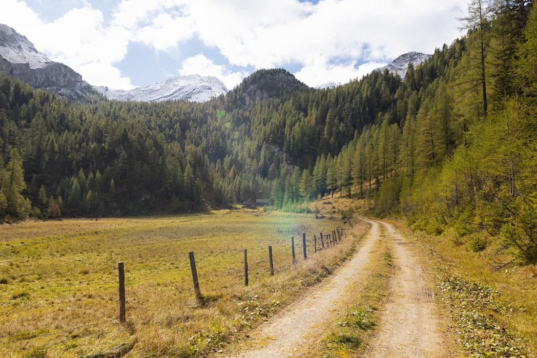Forstweg im Flachauwinkl im Wald